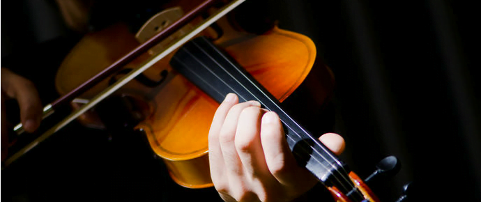 Violin for advanced