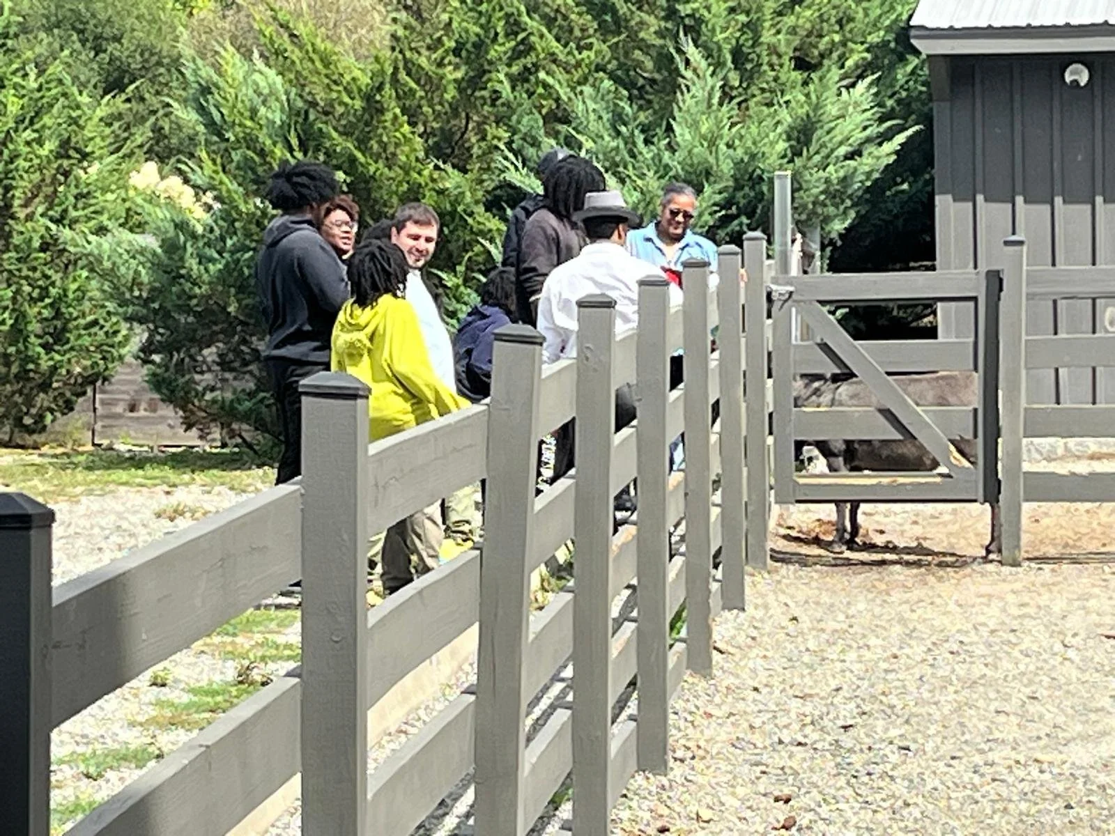 WhatsApp Image 2026-02-07 at 8.29.14 AM (5).jpeg