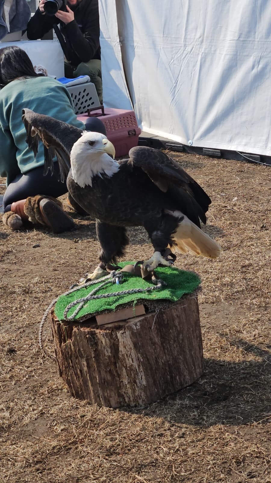 WhatsApp Image 2026-02-17 at 4.46.21 PM.jpeg