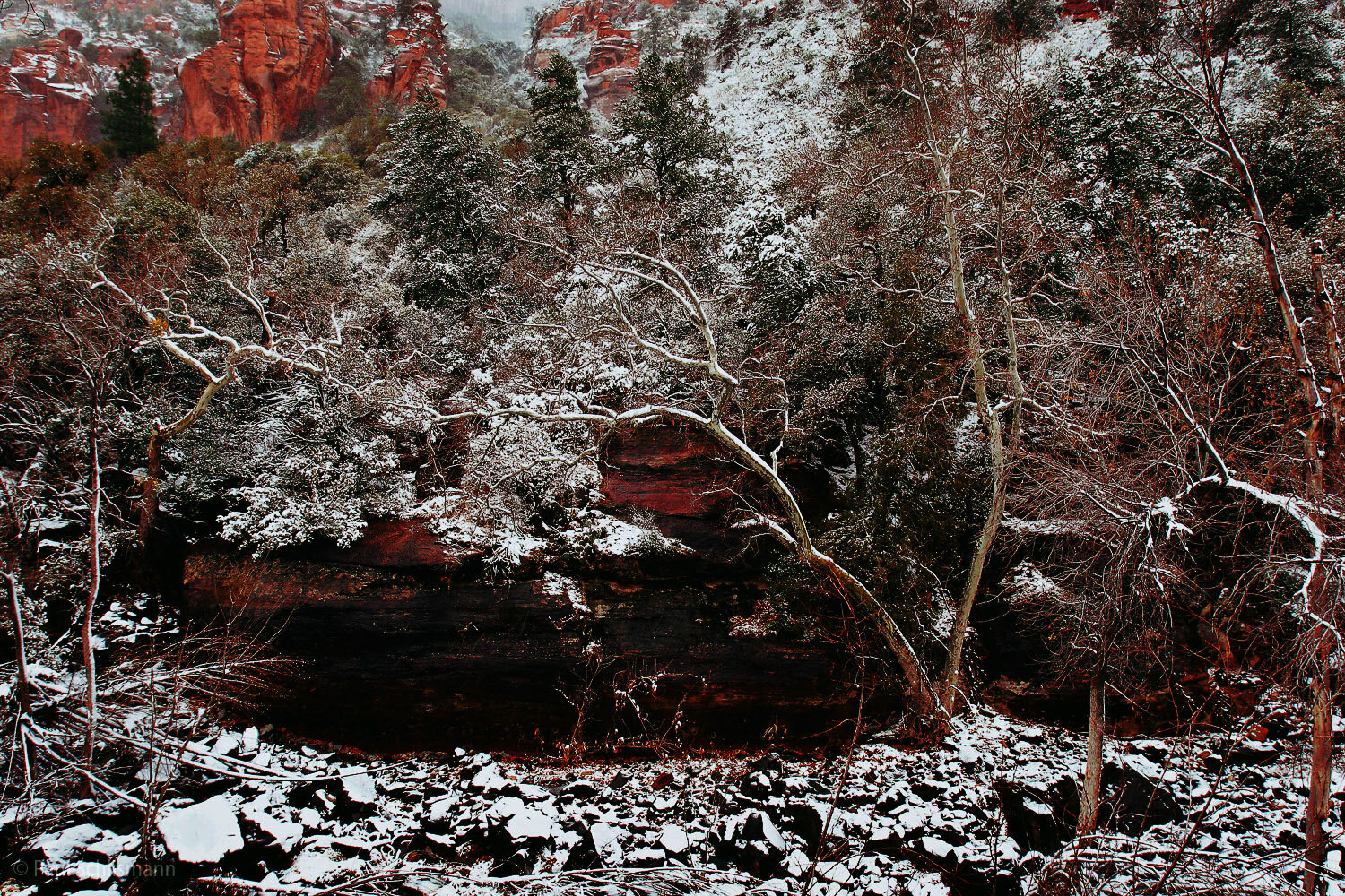Snow Oak Creek Canyon.jpg