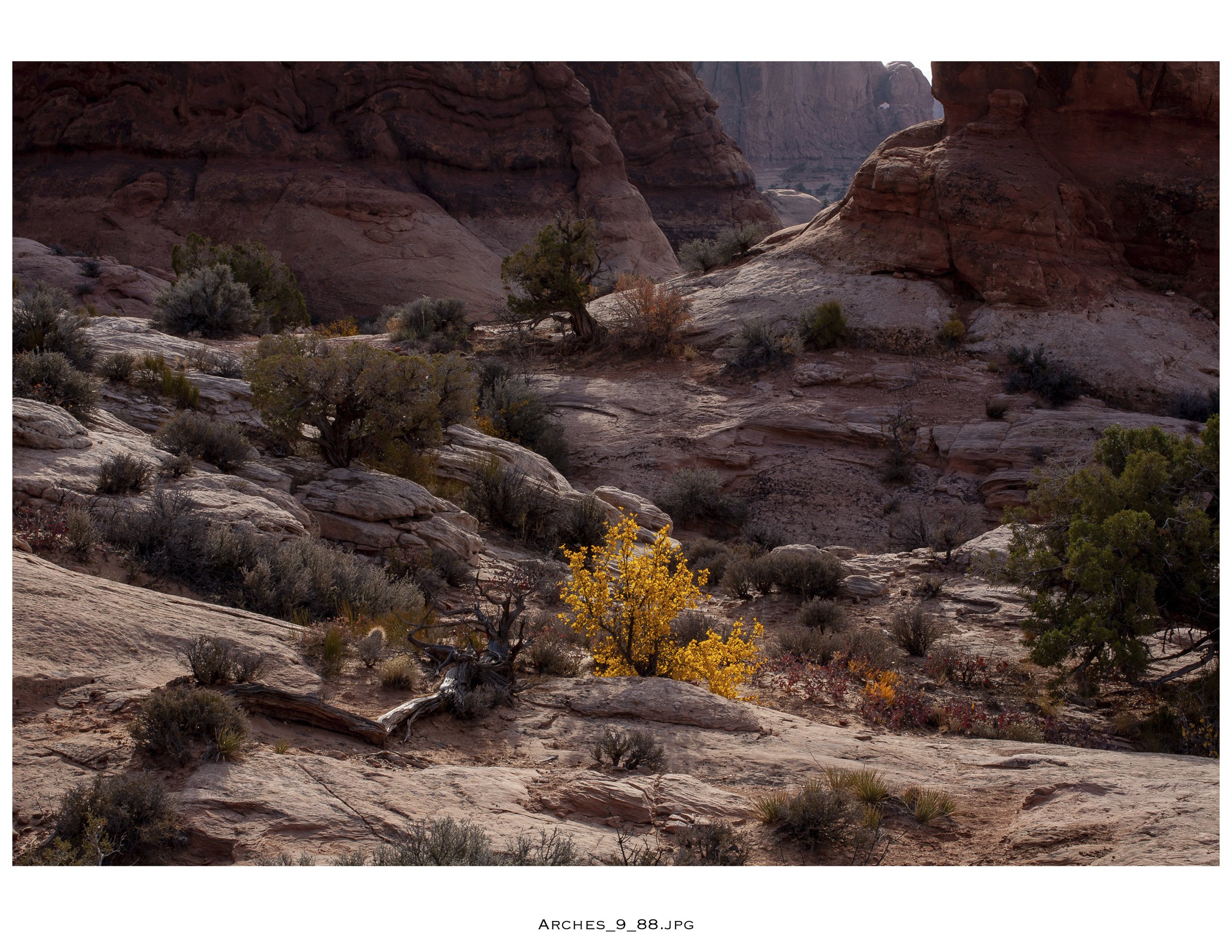 ContactSheet-005.jpg