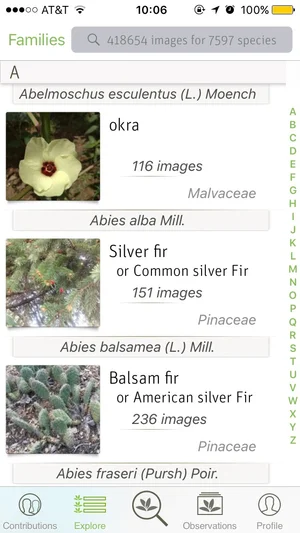 A Look at 5 Plant ID Apps: Which are Worth Downloading?  Fern & Fossil