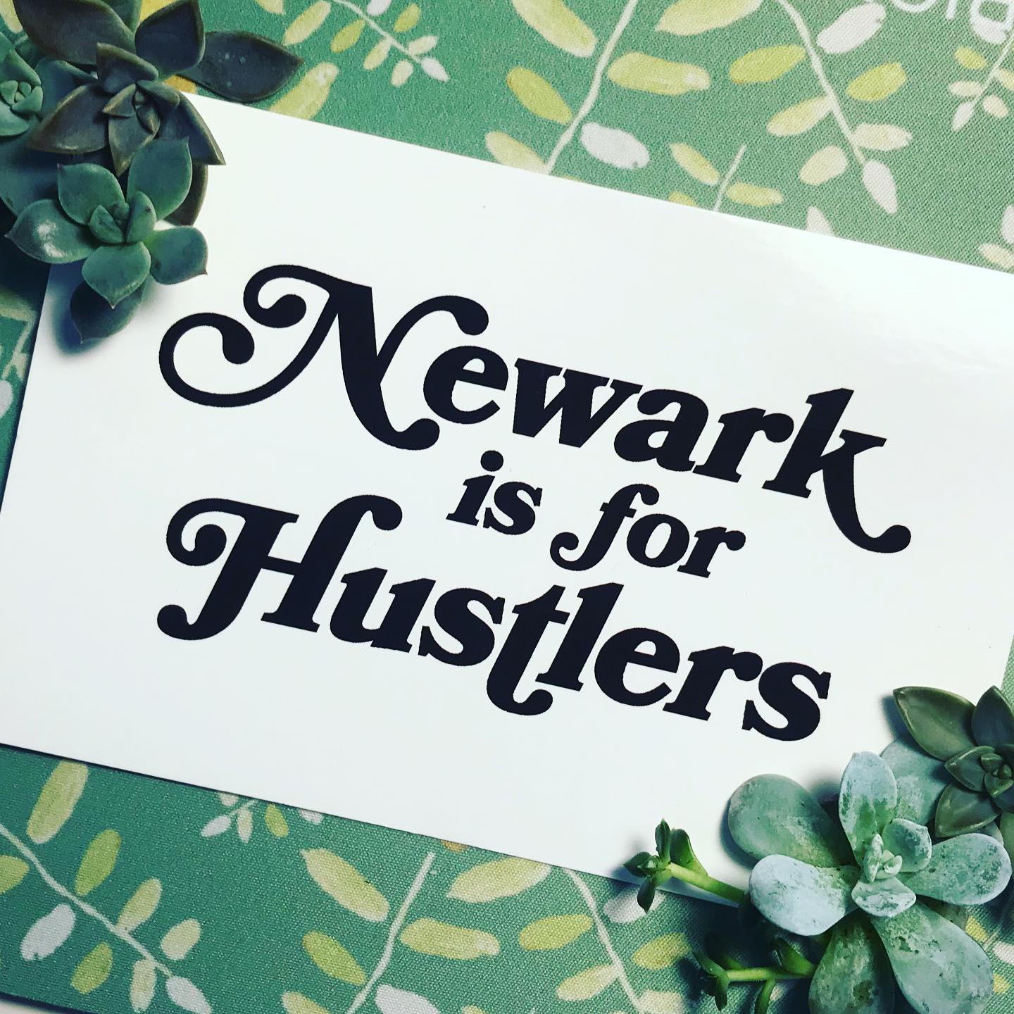 Newark Hustlers Succulents.jpg