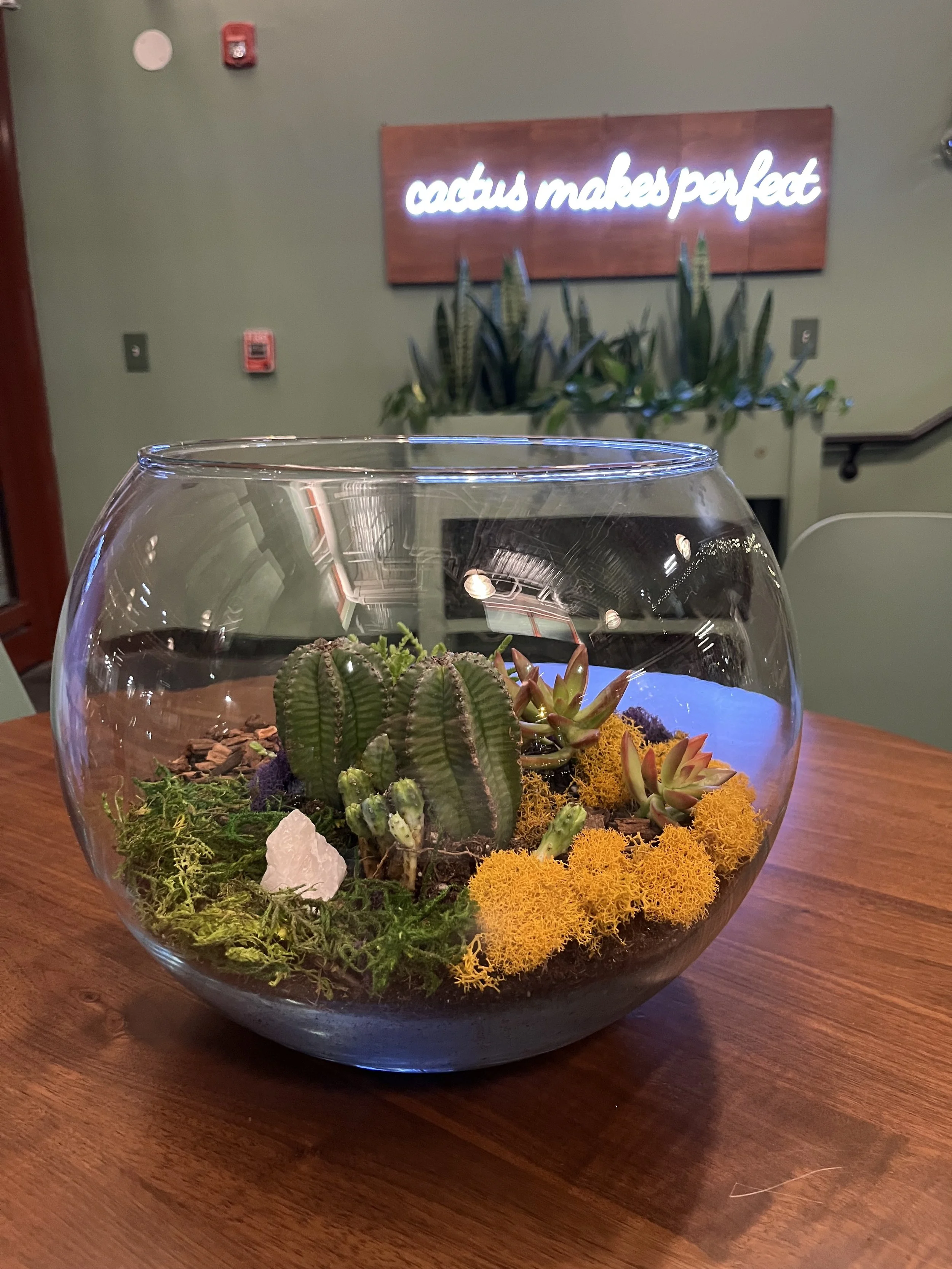 January 23, 2026 Deluxe Terrarium Workshop