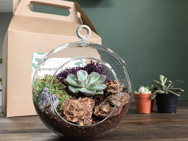 Terrarium Kit 1 MB.jpg