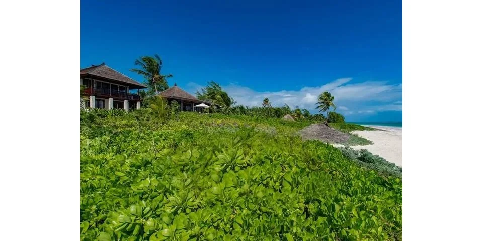 imagereader (18).jpg