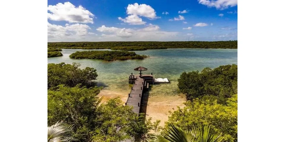 imagereader (33).jpg