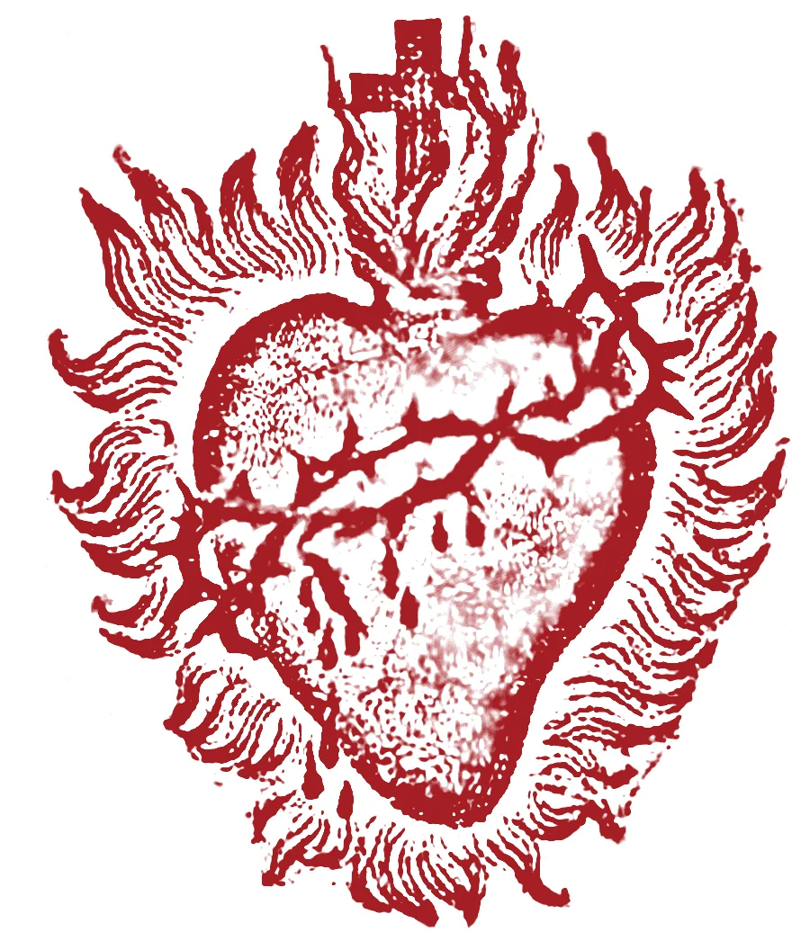 Gay and Christian: Exploring Vocation, Friendship, and Celibacy
