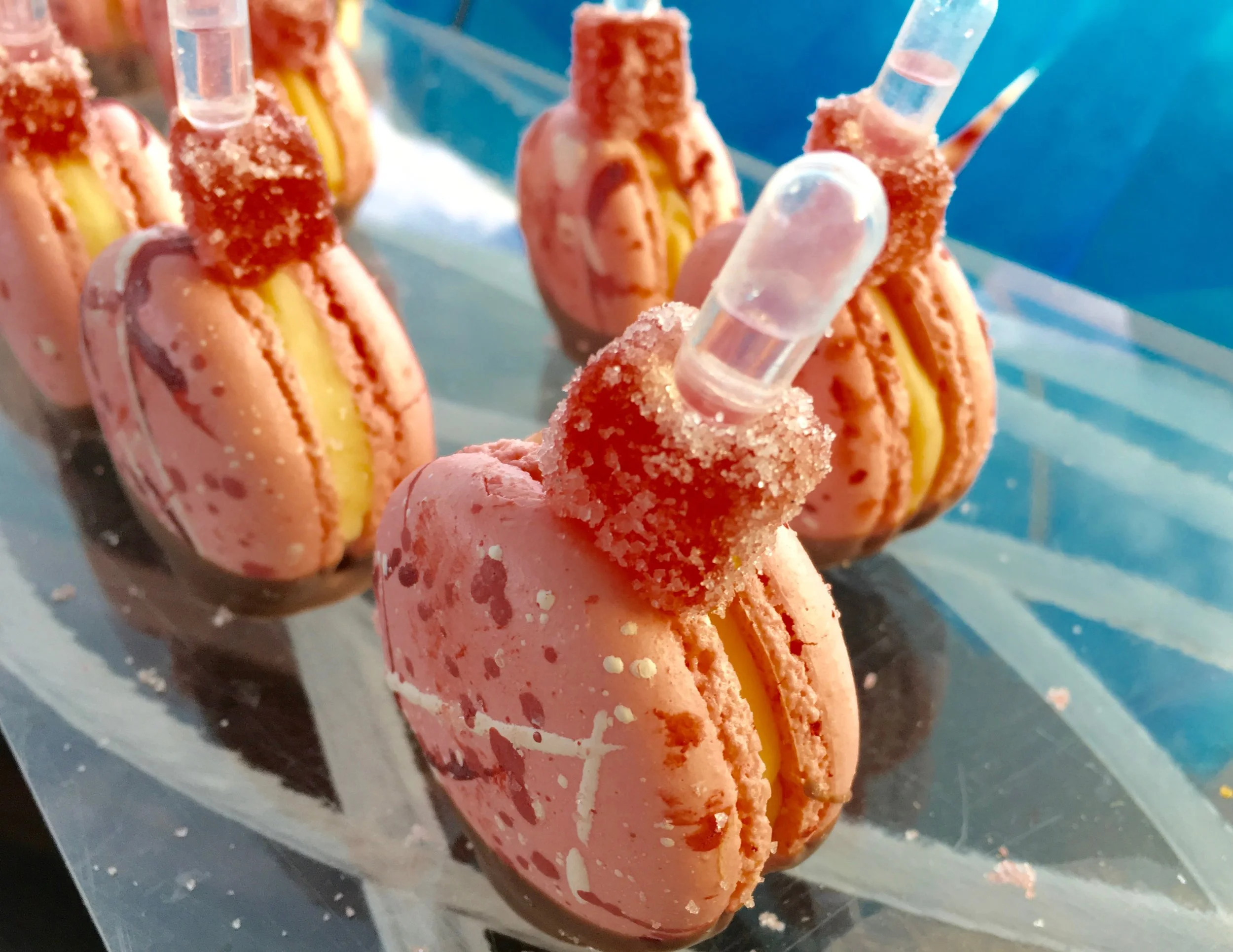 FieldToFeast2017_Macarons_RonaGindin_March2017.jpg.jpg