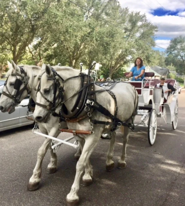 Soul Haven Ranch_horse and buggy_2018.jpg