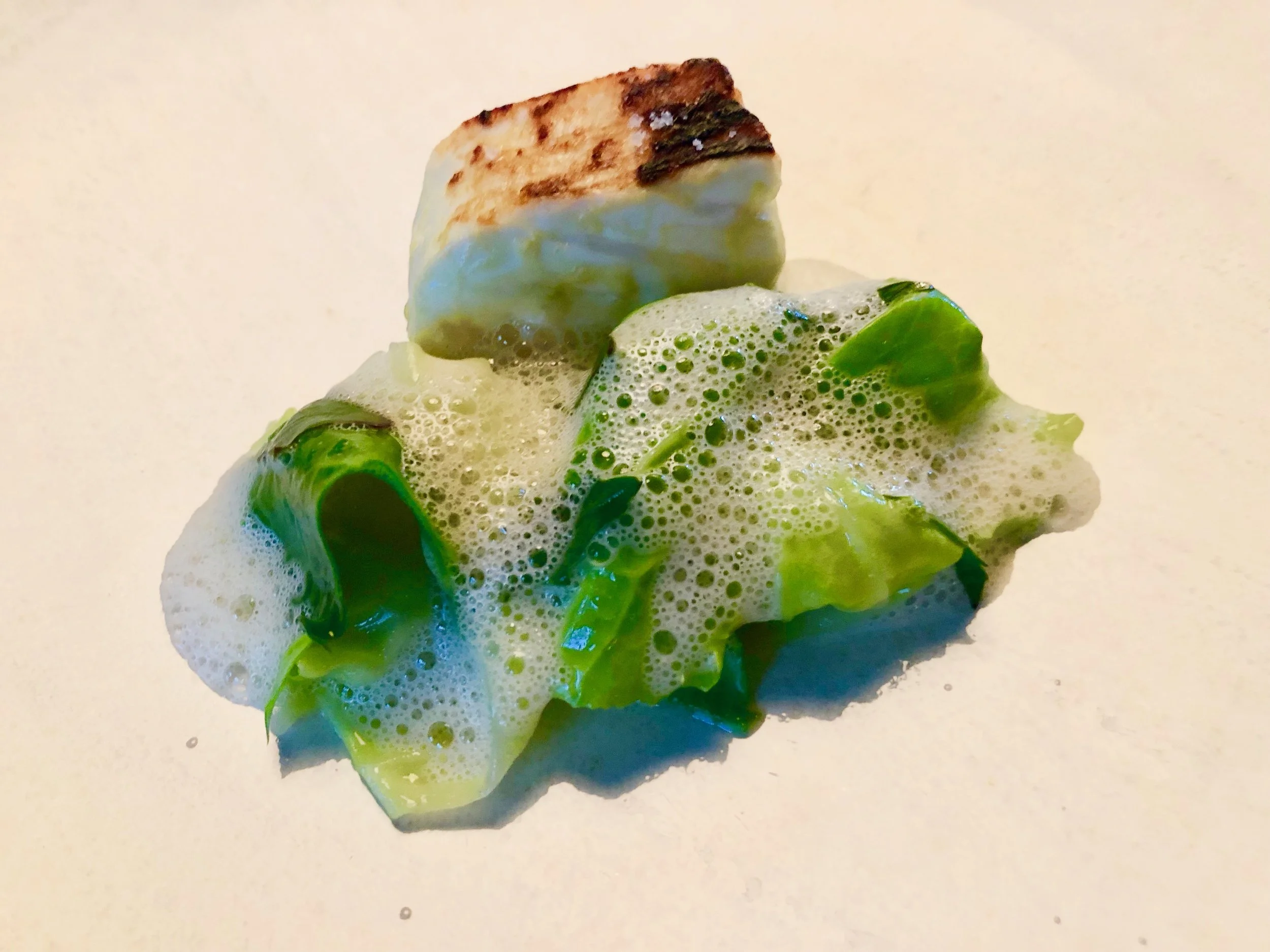 Marinated and grilled North Atlantic halibut with salted plums and summer cabbage