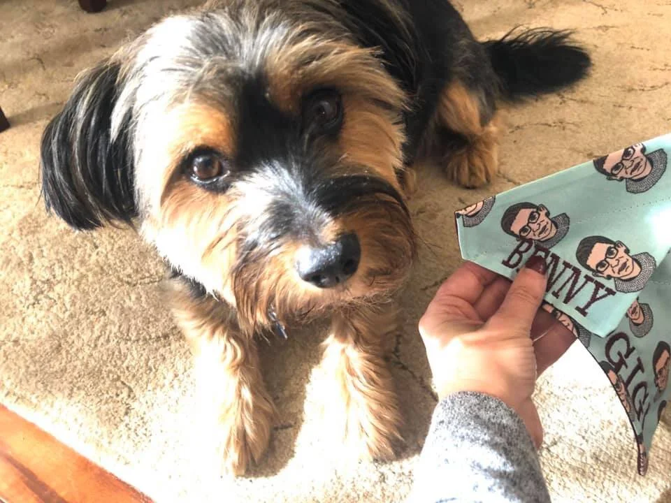 Five Fab and Cheap Holiday Gifts for 2019