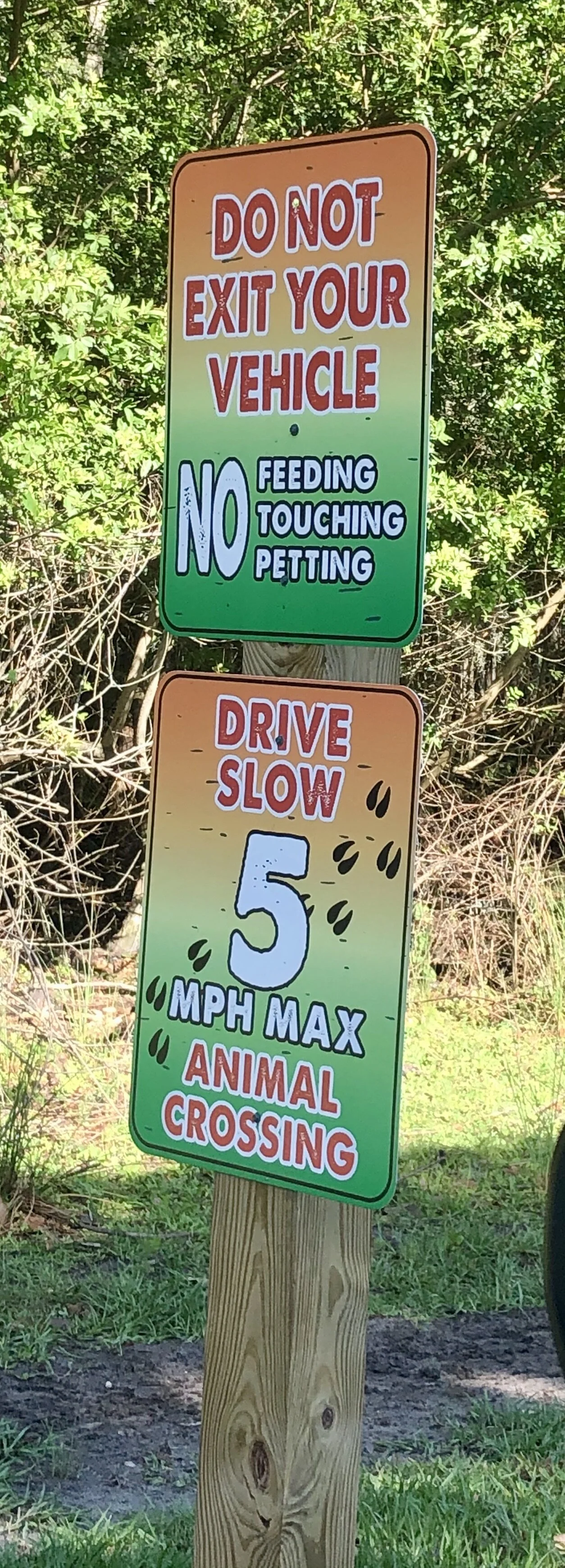 Look Ma, No Hands! Orlando's Super-Safe Safaris