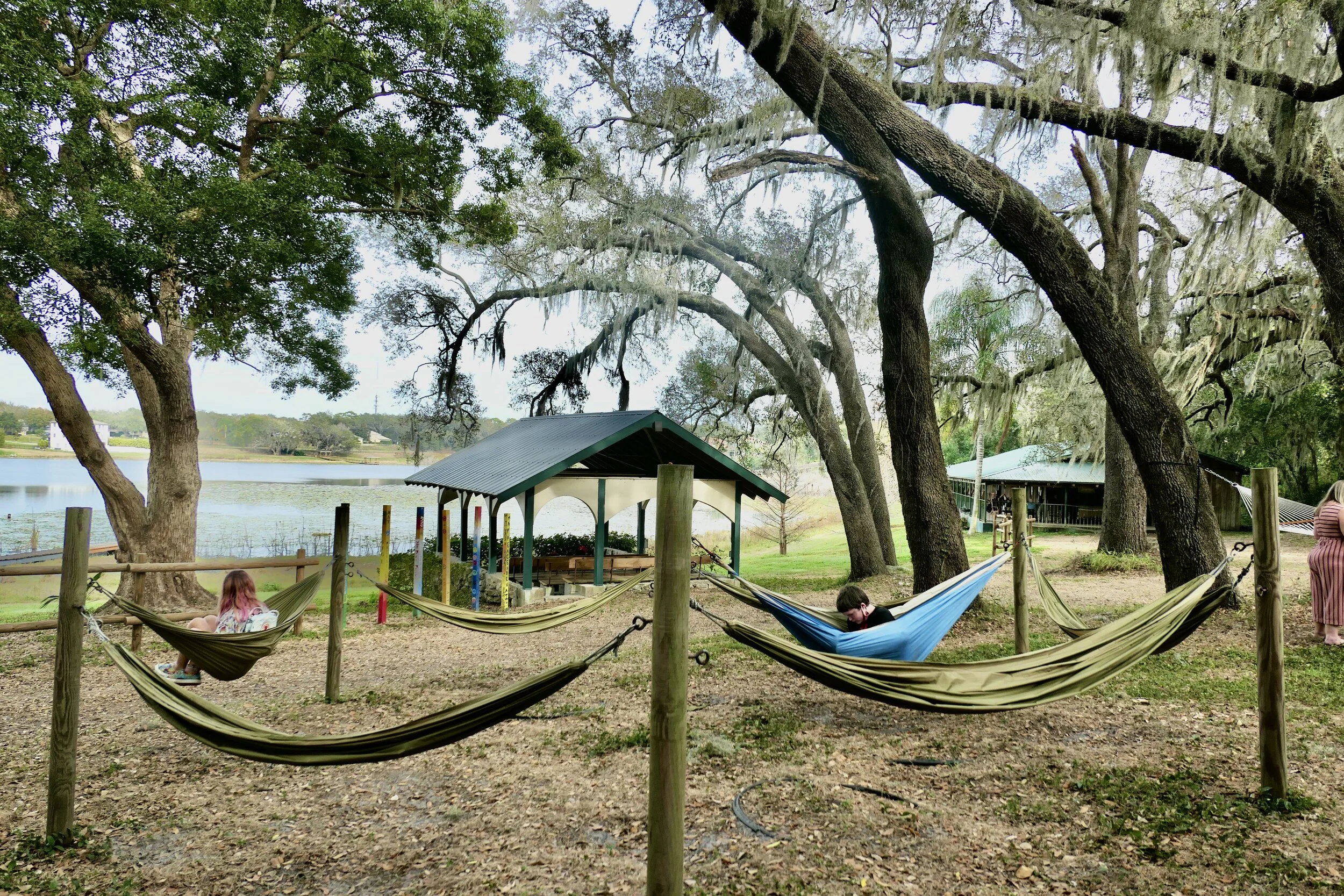 The hammock garden