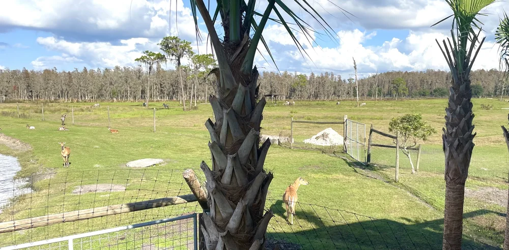 Safari-Wilderness-Glamping 15_Rona-Gindin_Dec-2-2021.jpeg