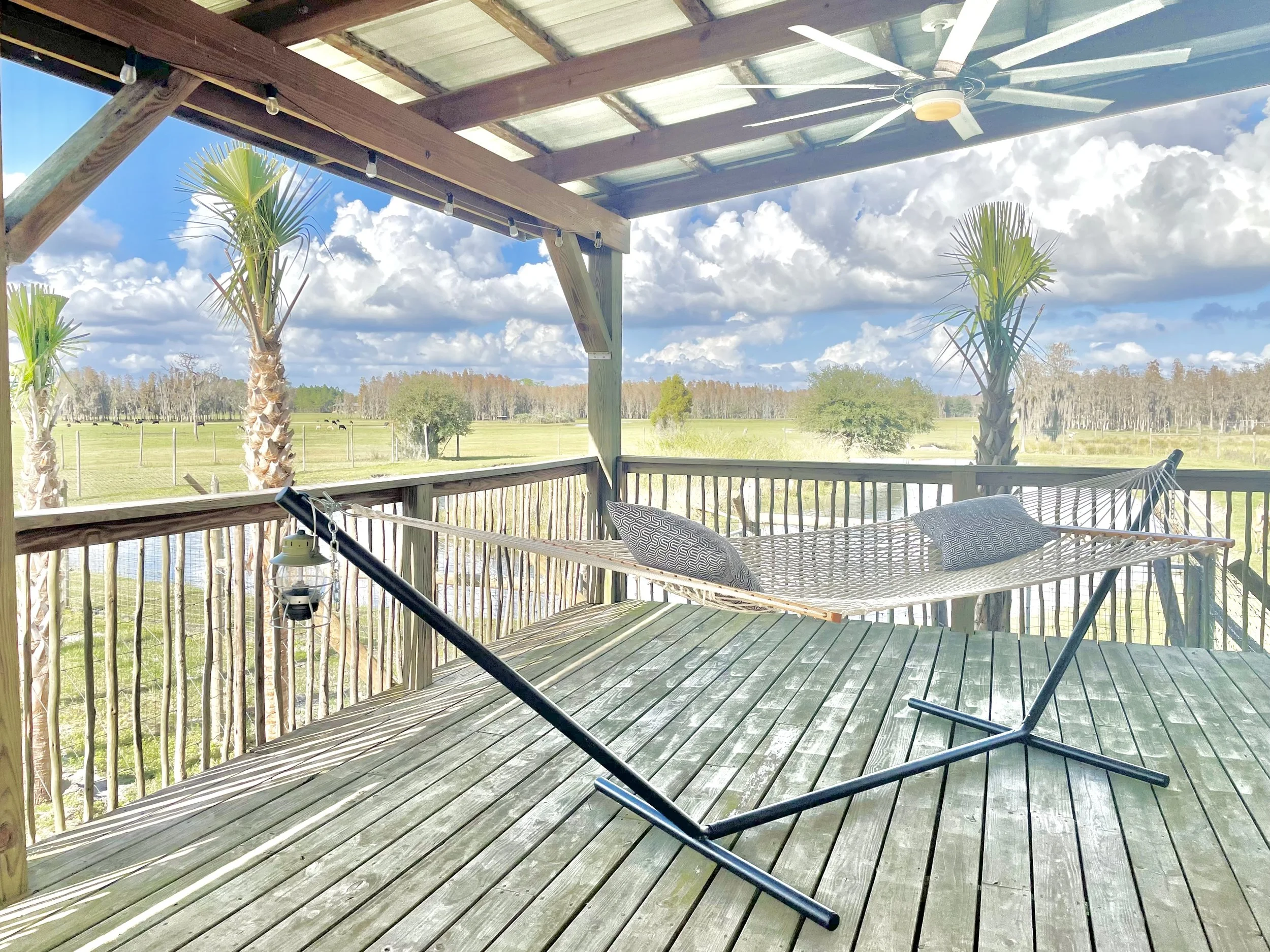 5 Reasons to Go Glamping at Safari Wilderness