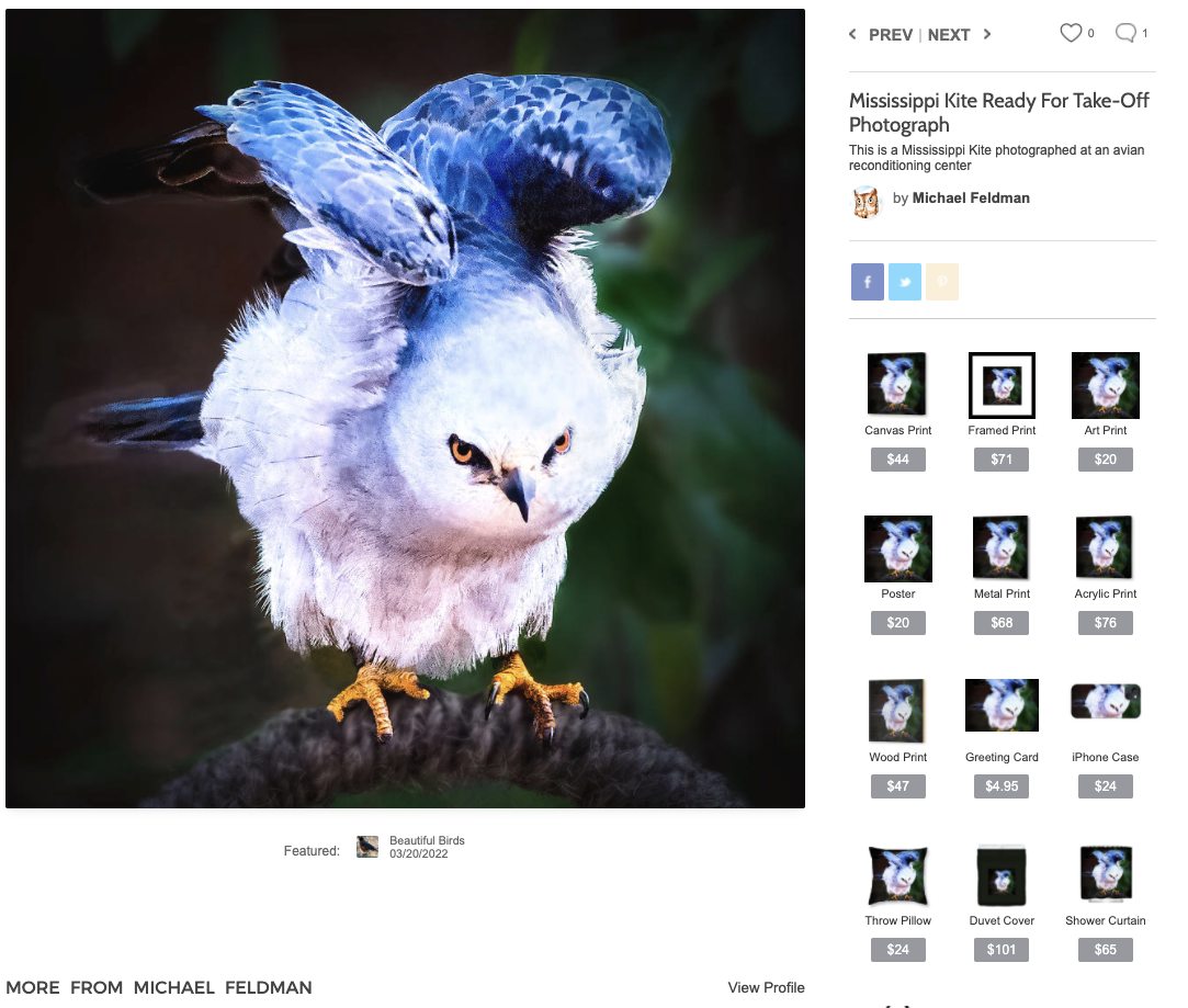 HOO DAT? Buy Totes, Pillows and Mugs with Animal Photos