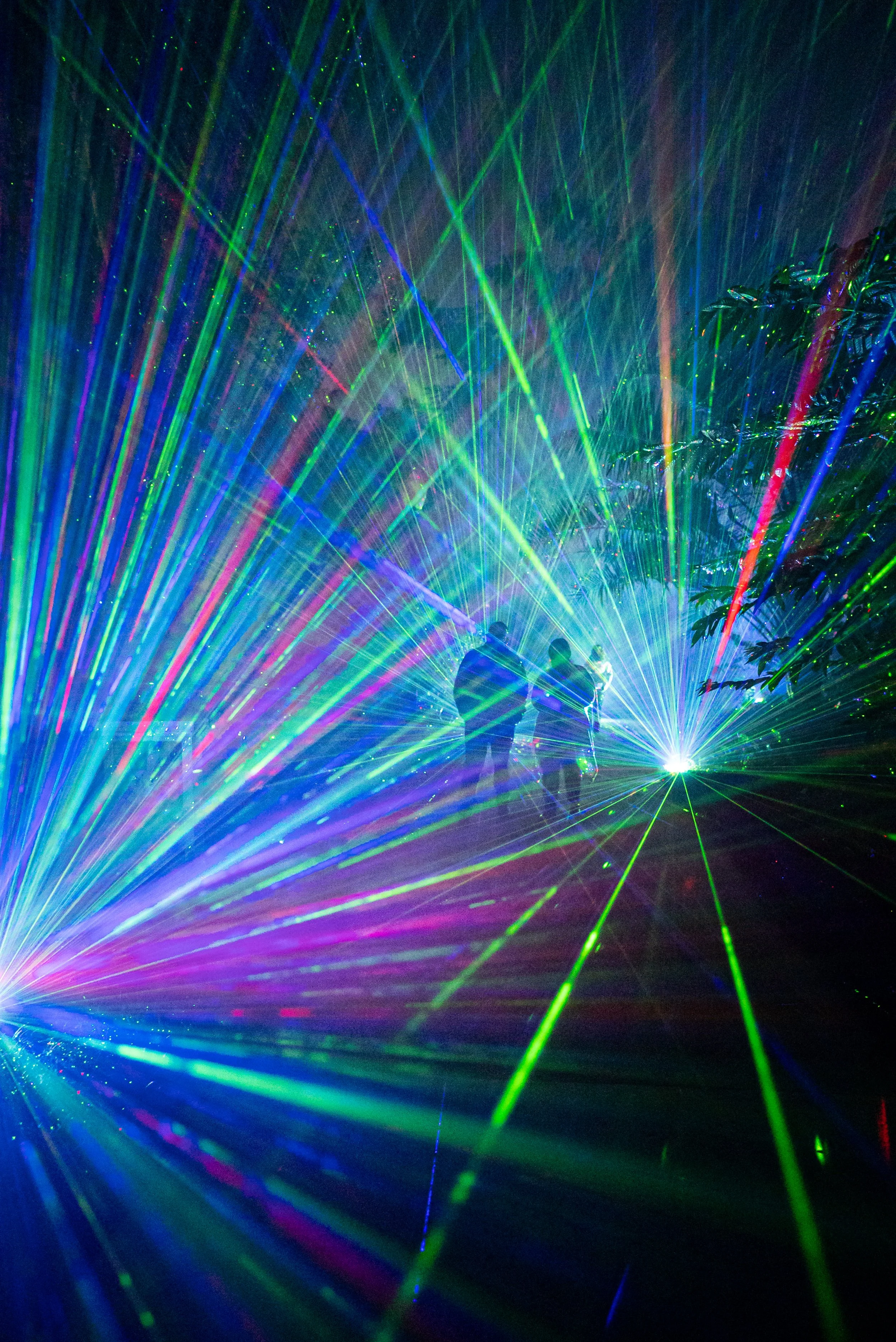 Dazzling Nights at Leu Gardens