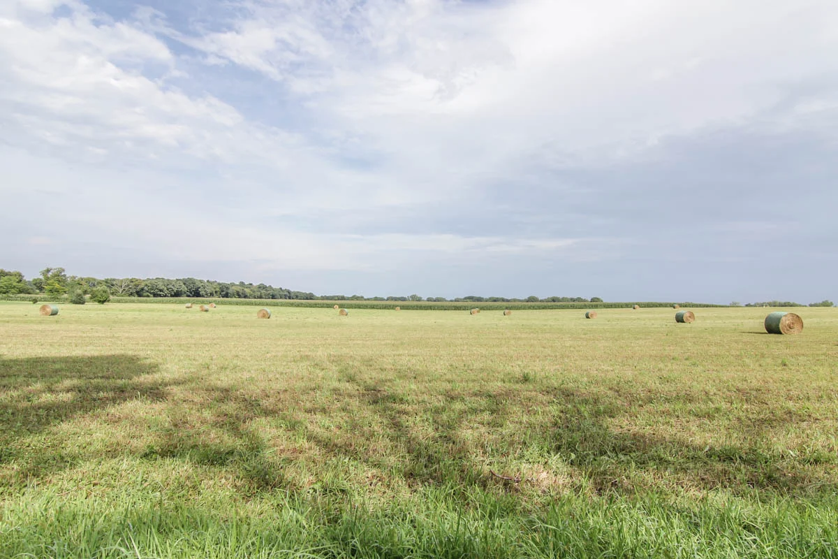Center-Rd_Vacant_Exterior-15.jpg