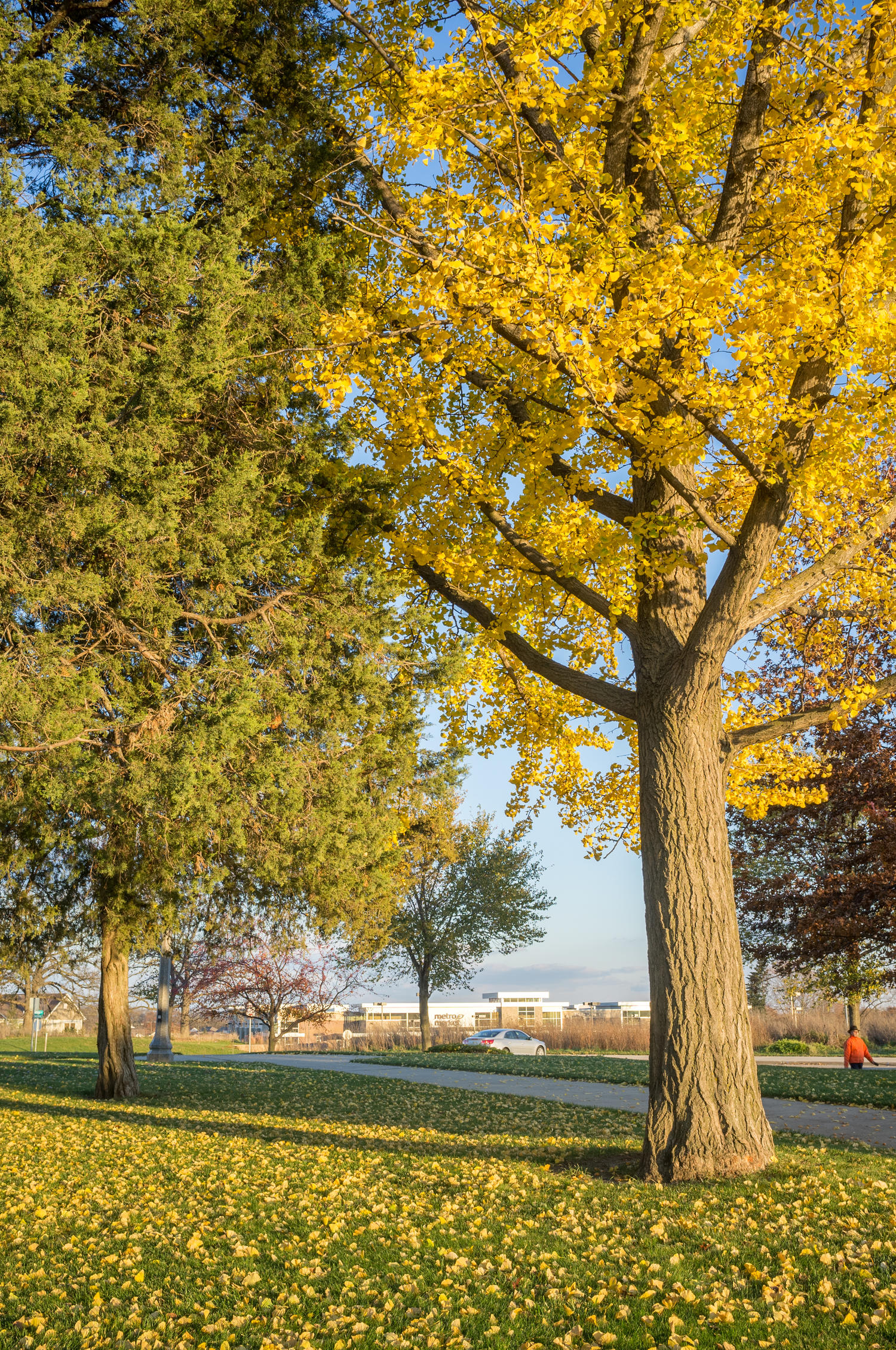 Grandview_Commons-55.jpg
