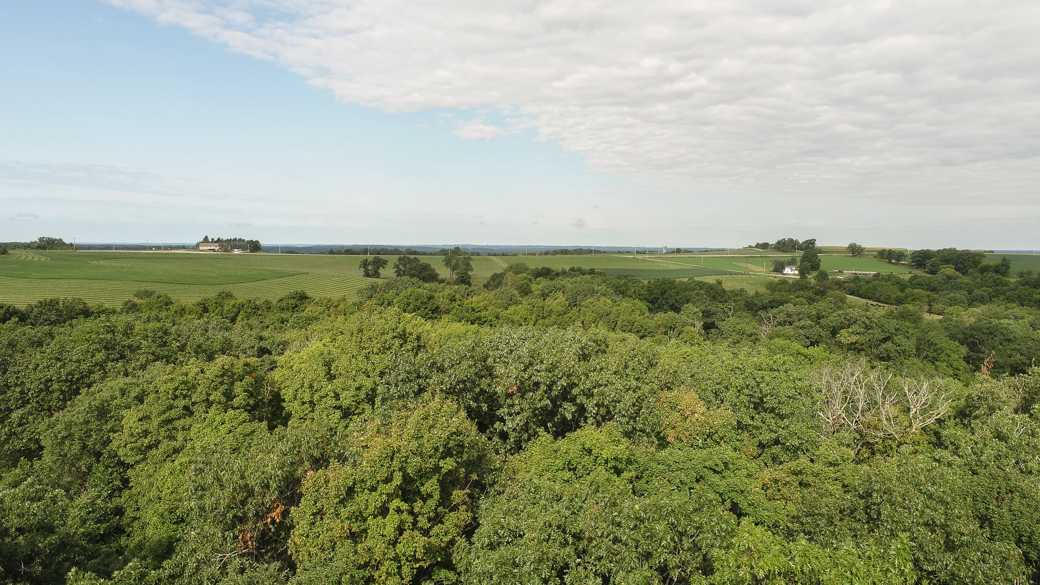 4870 Ridgeview Rd-24.jpg