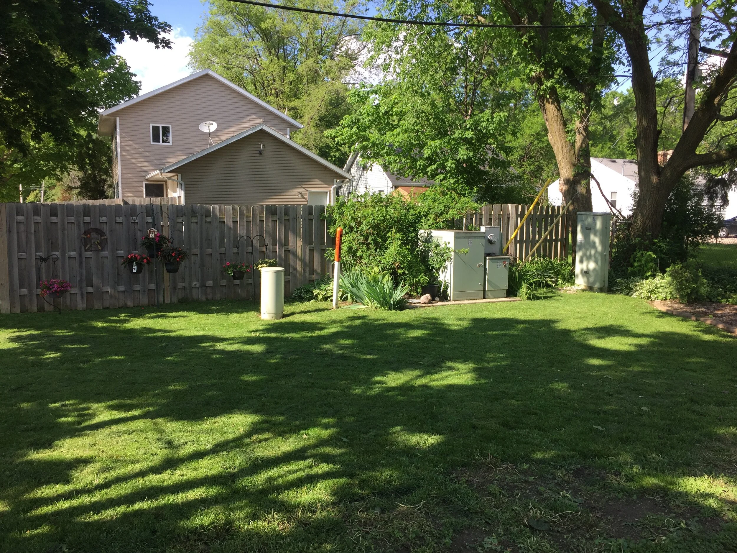 Side Yard Close Up.JPG