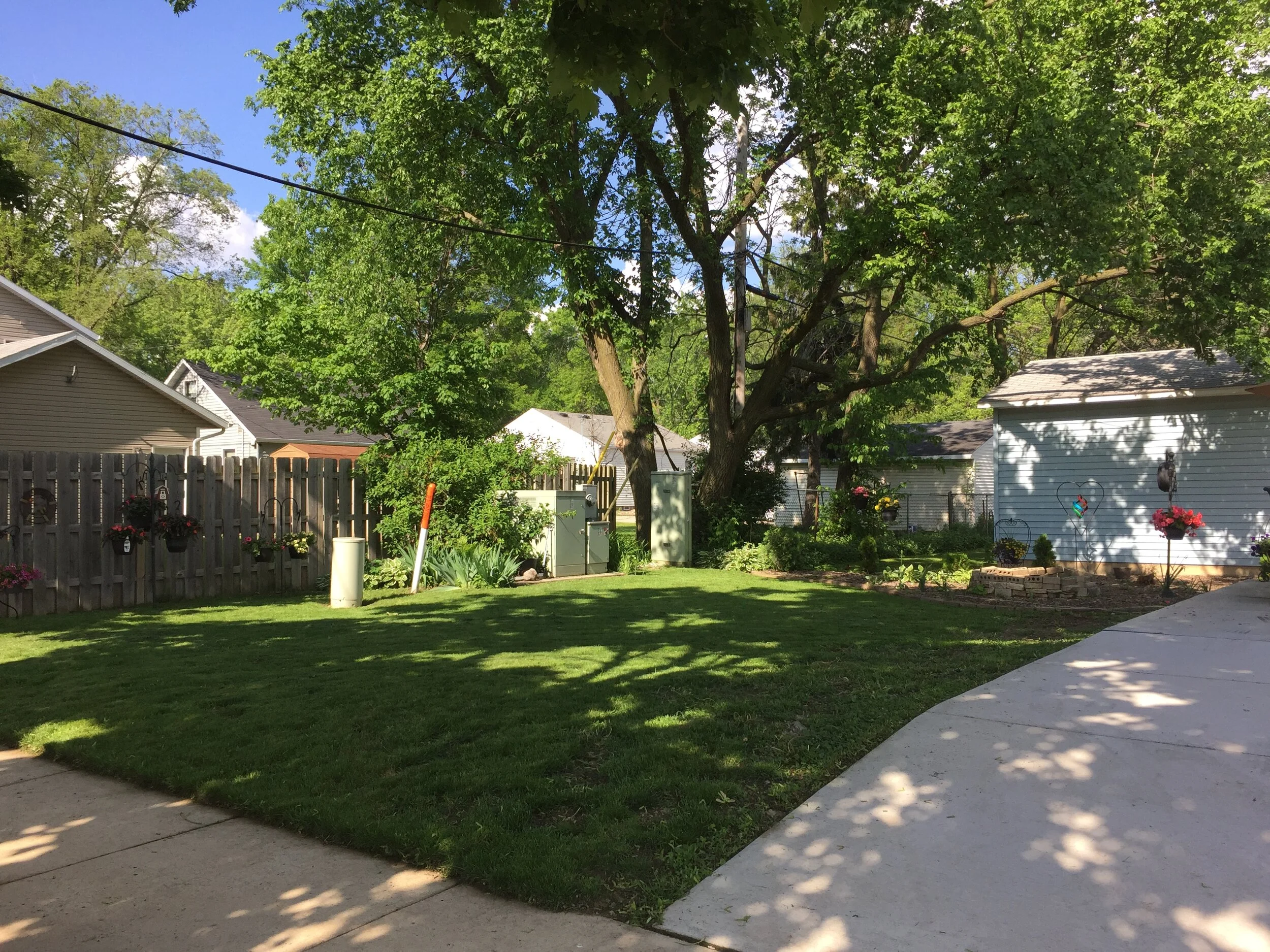 Side Yard.JPG