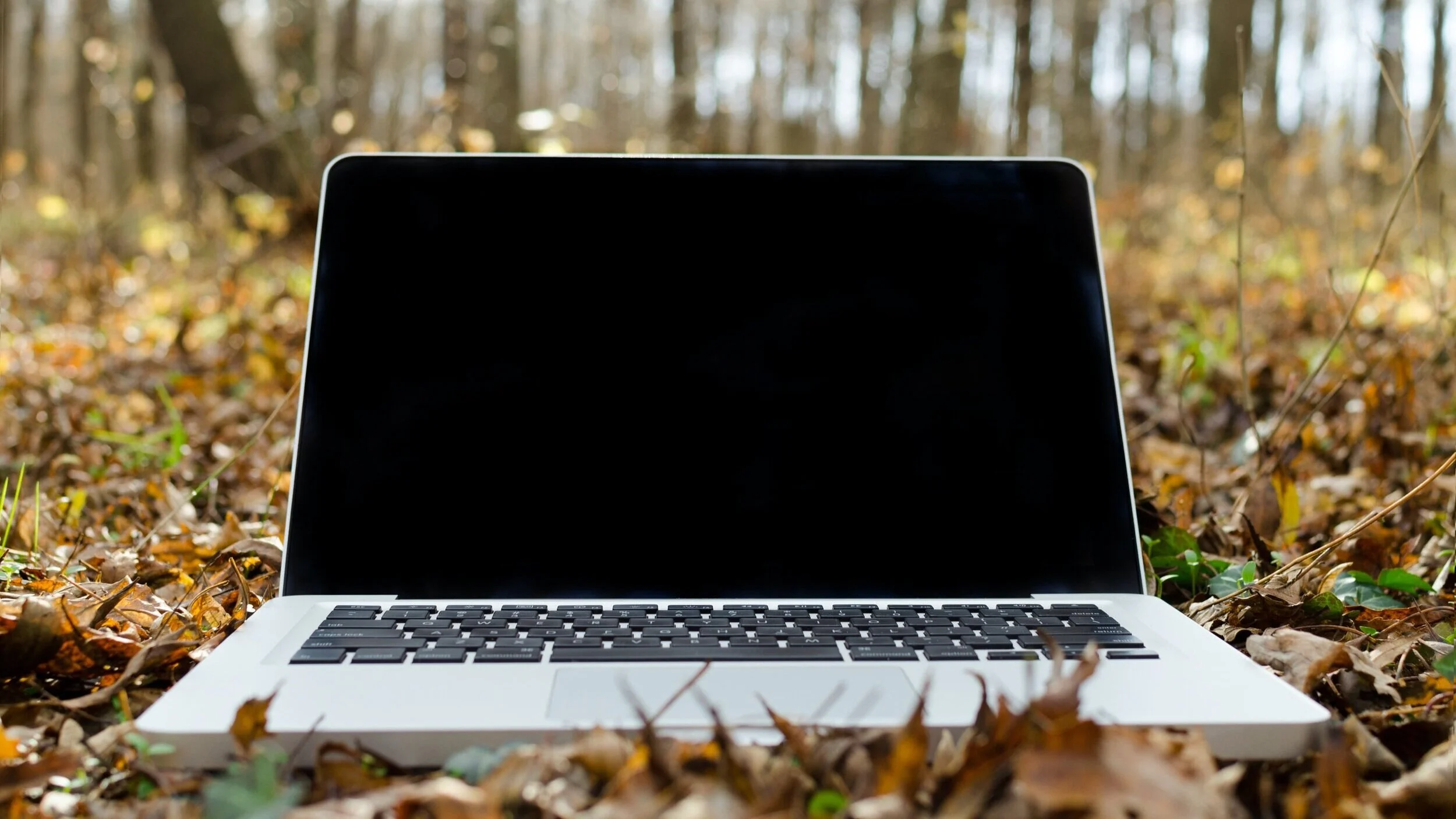Laptop+Wood.jpg