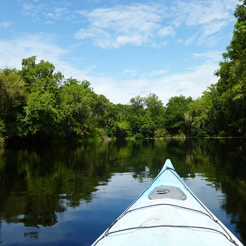 Kayaking on the Santa Fe River - photo by Anna Mikell, courtesy Visit Gainesville