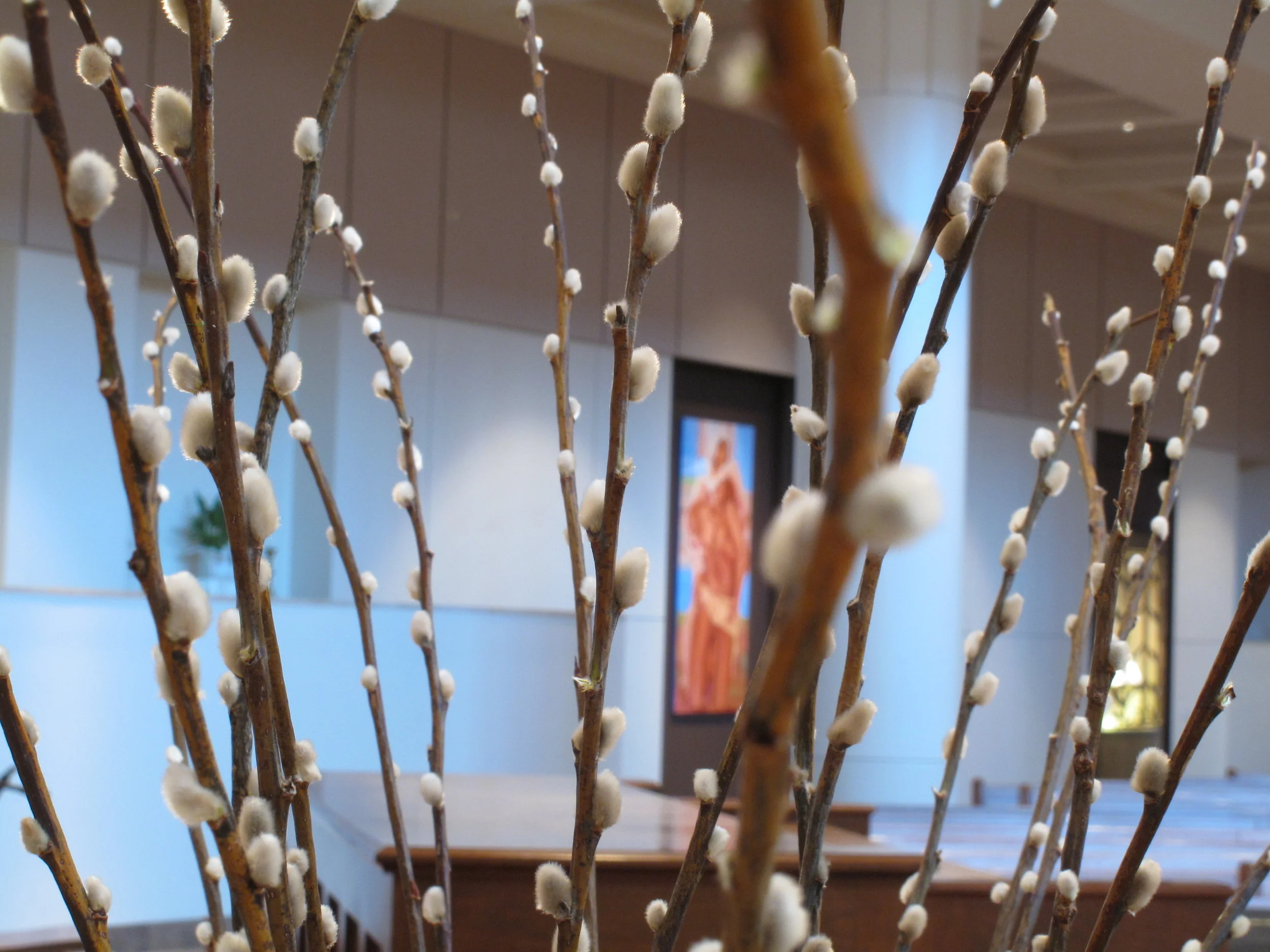 2009 Pussywillows Pieta 2.JPG