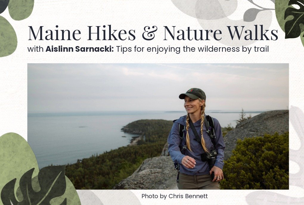 Maine Hikes &amp; Nature Walks