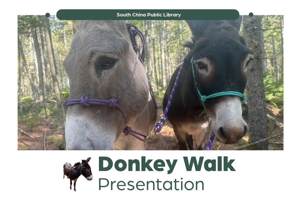 Donkey Walk Presentation