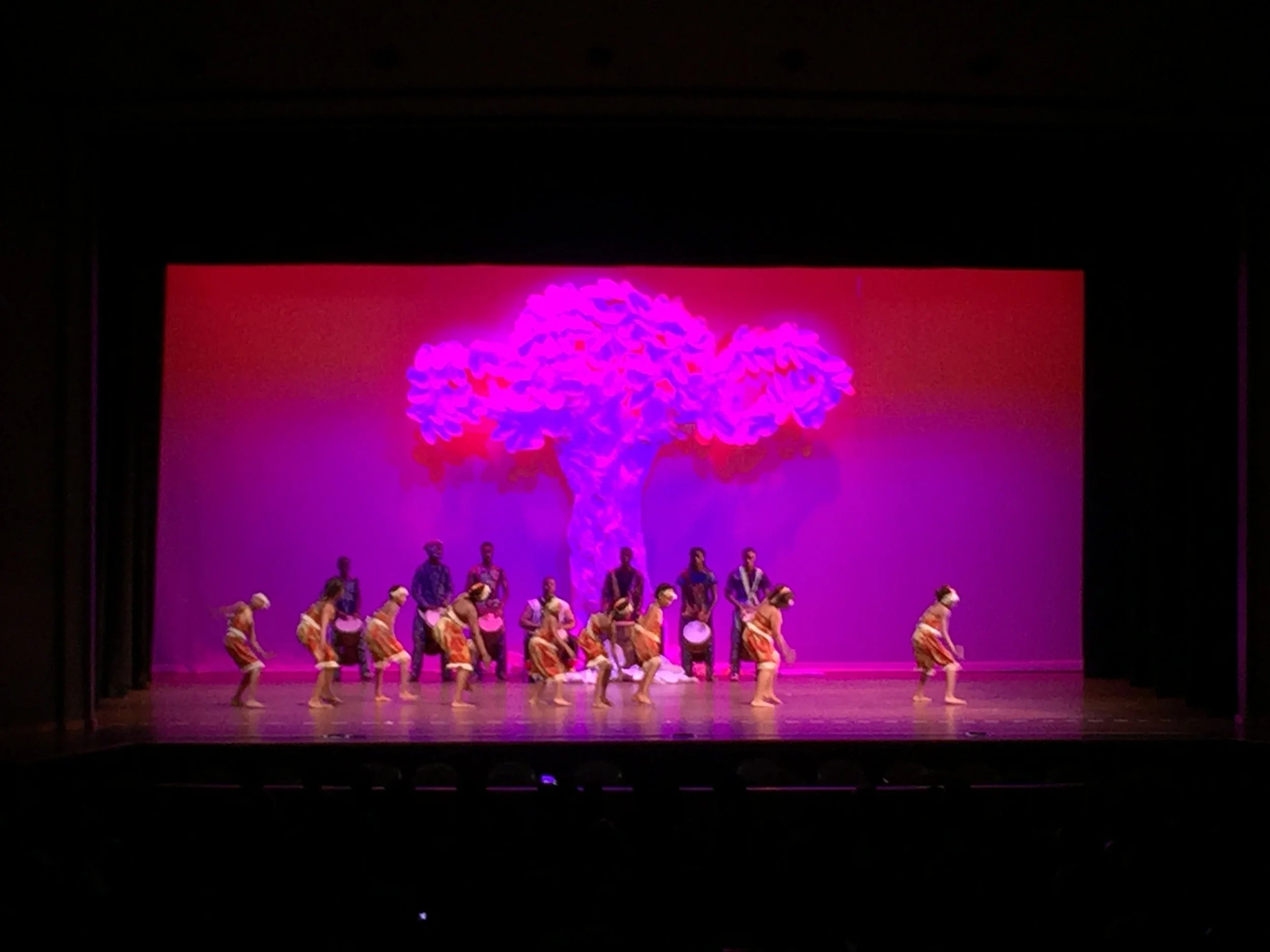 Ifetayo Cultural Arts Academy
