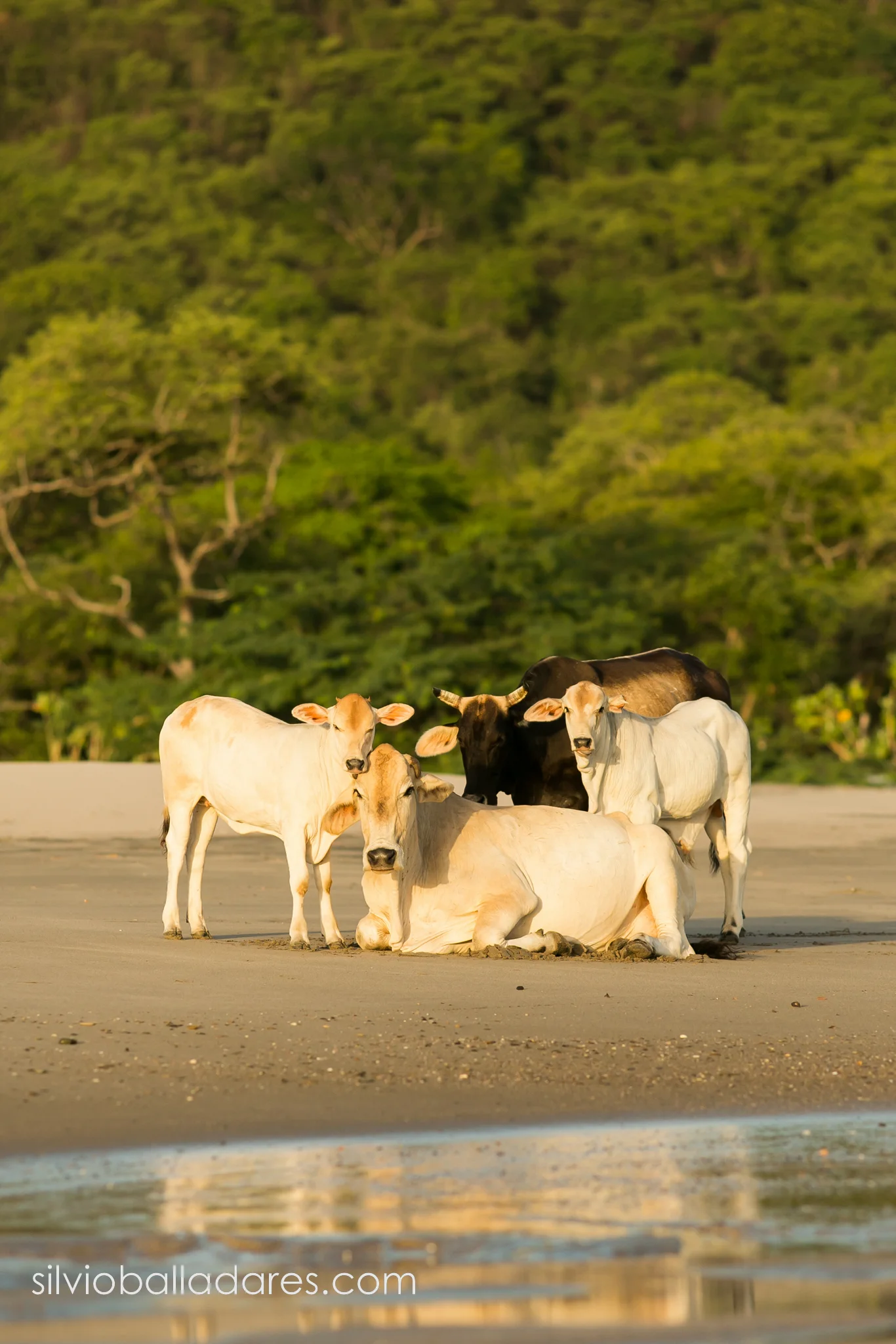 Nicaragua-35.jpg