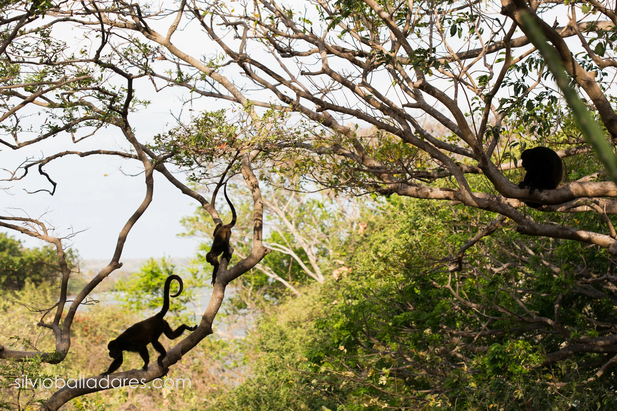 Nicaragua-70.jpg