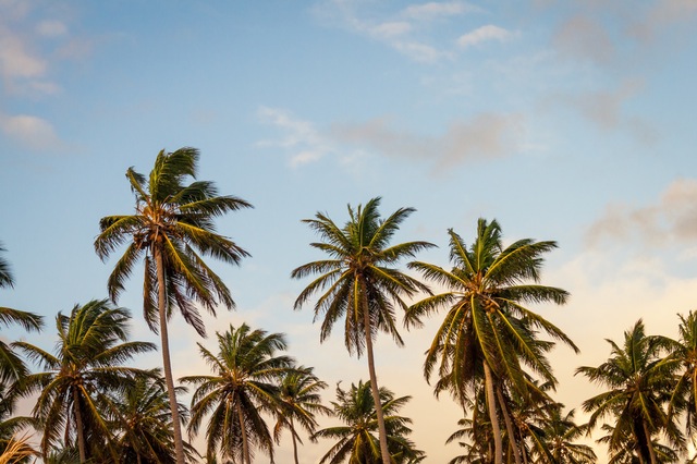 sky-beach-vacation-summer