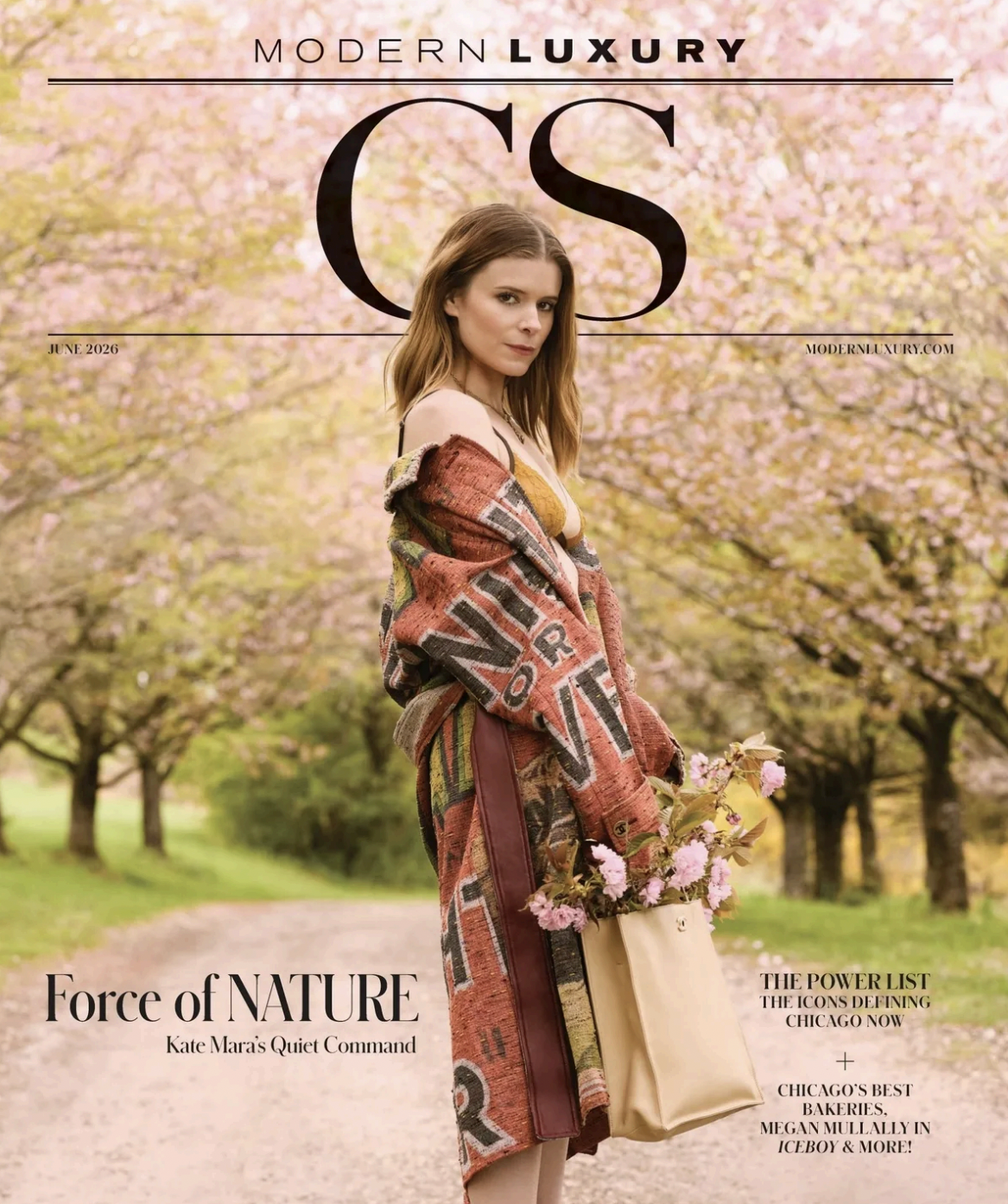 Modern Luxury CS June Cover