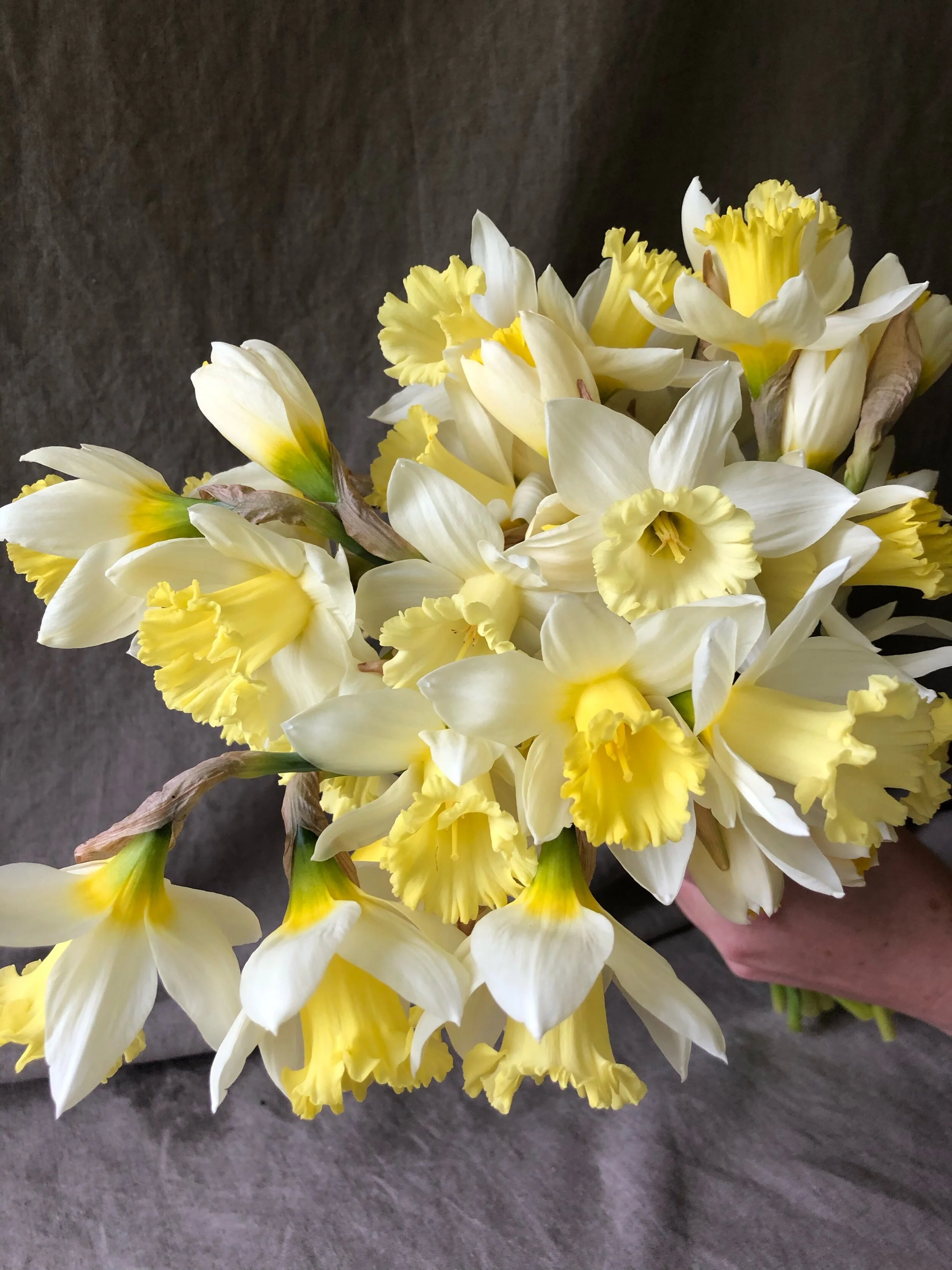 Flower Journal Jolee Blooms Design