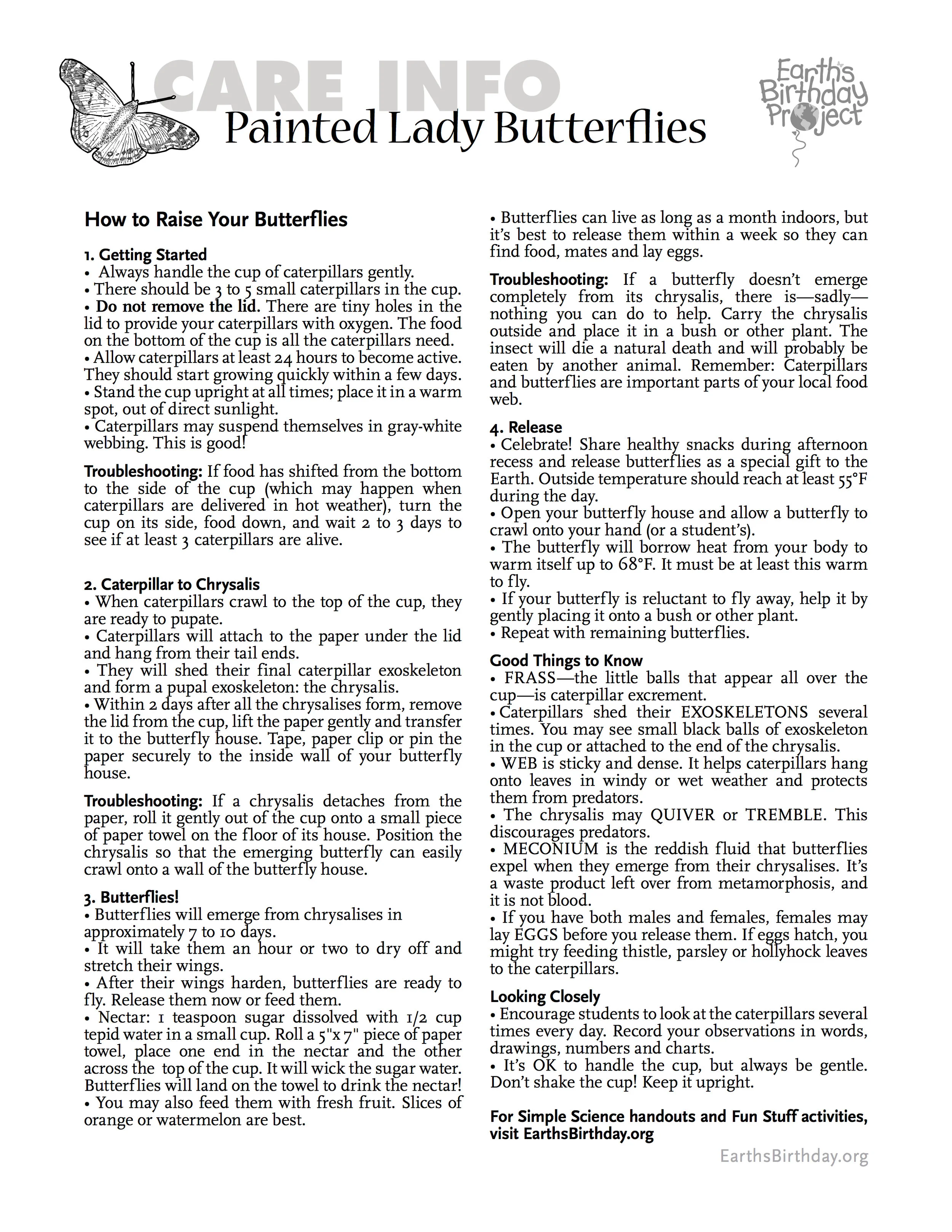 butterfly-care.jpg