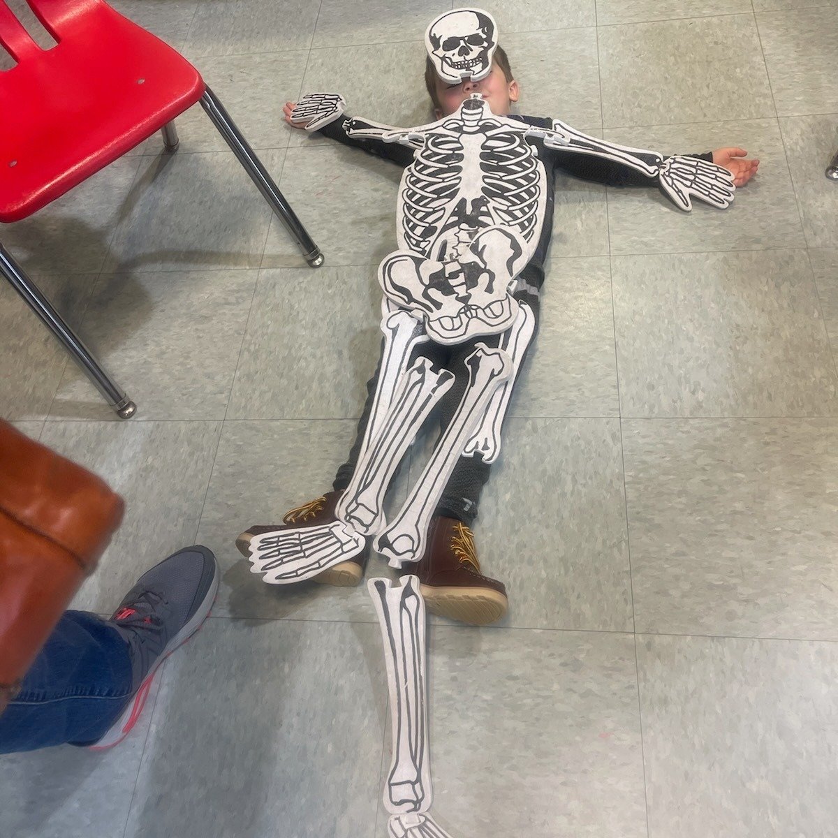 Check out this kiddo. Looks like he's having fun learning about the skeletal system.