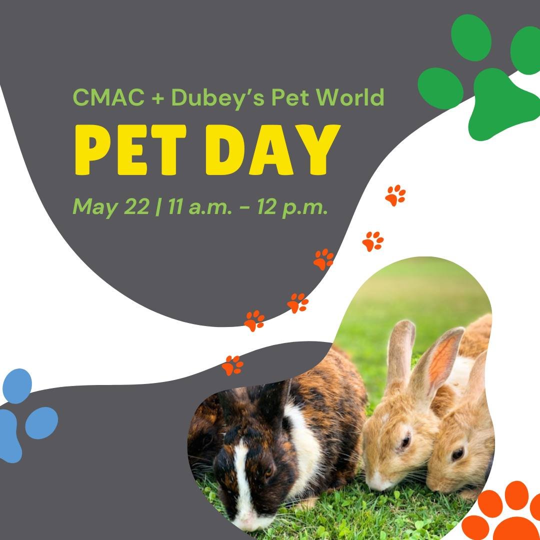Last call for a paws-itively fun day! 🐾

Don't miss our pet day THIS THURSDAY with Dubey's Pet World at the Children's Museum! Come meet ferrets, rabbits, more adorable small animals.

It's the perfect chance to play, learn, and make some furry new 