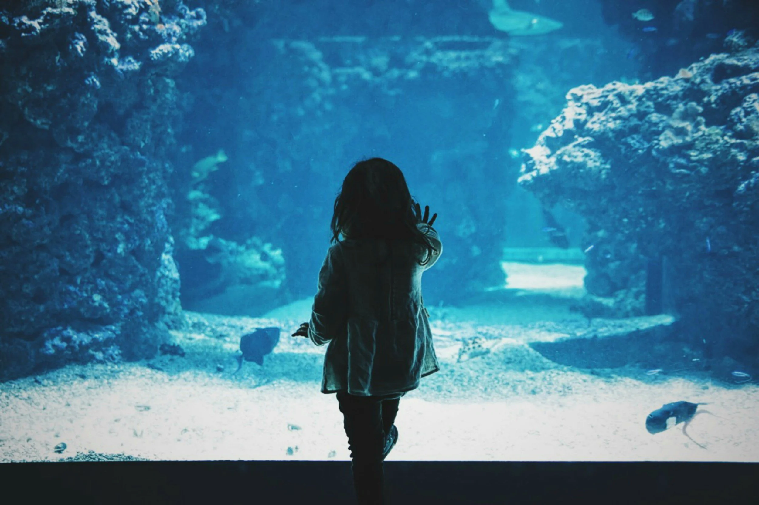 Aquarium Crafts Week