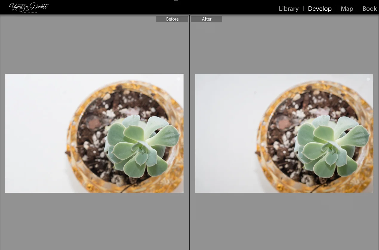 Before and after of the image above. As you can see from this picture, you can tell that the majority of my work was done in-camera. As part of the post-processing of this image, I opened up the shadows a bit, and added sharpness, using Lightroom.