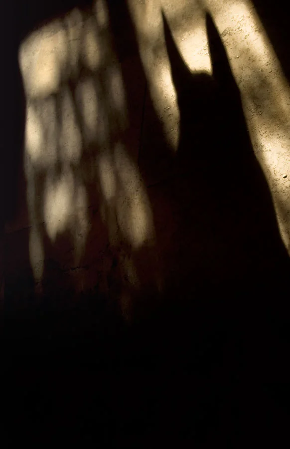 Shadow.jpg