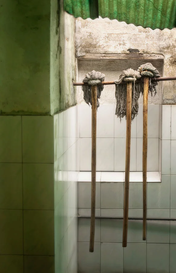 Mops.jpg