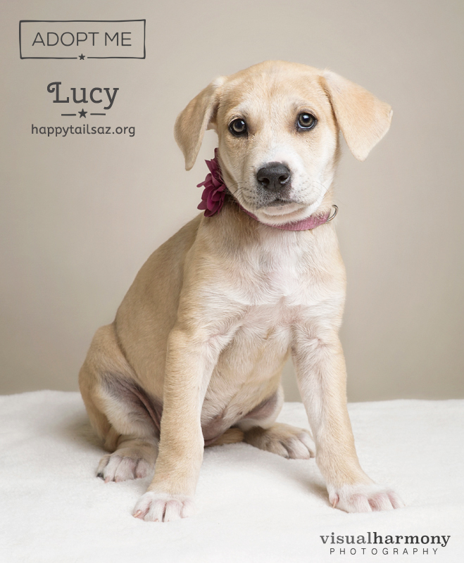 Lucy