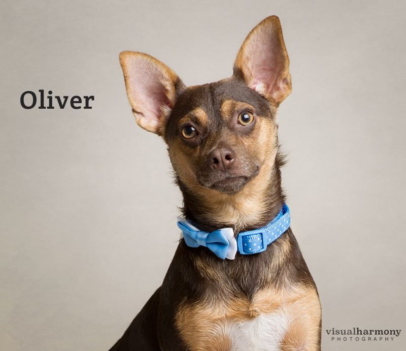 Oliver