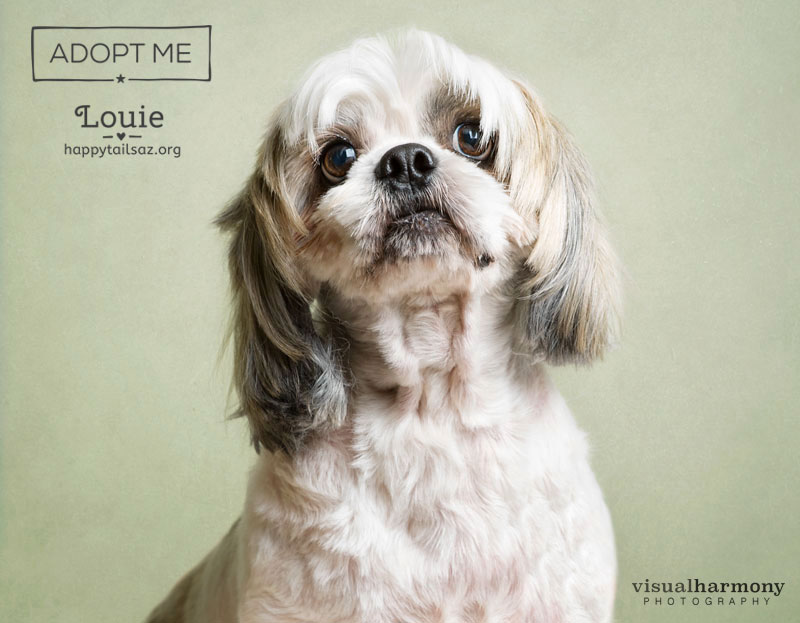 Louie