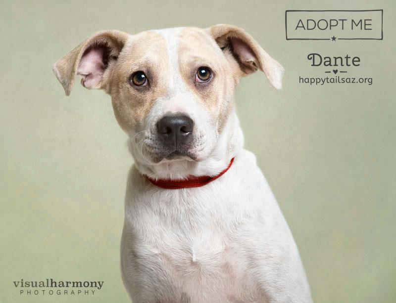 Dante