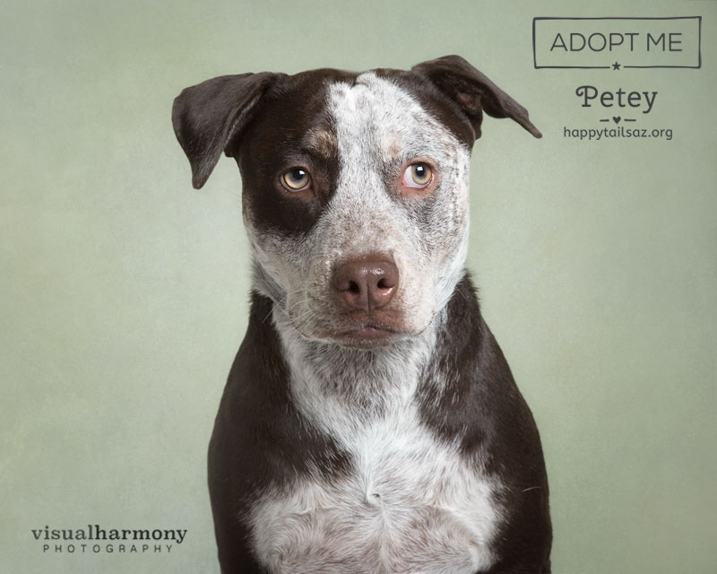 Petey